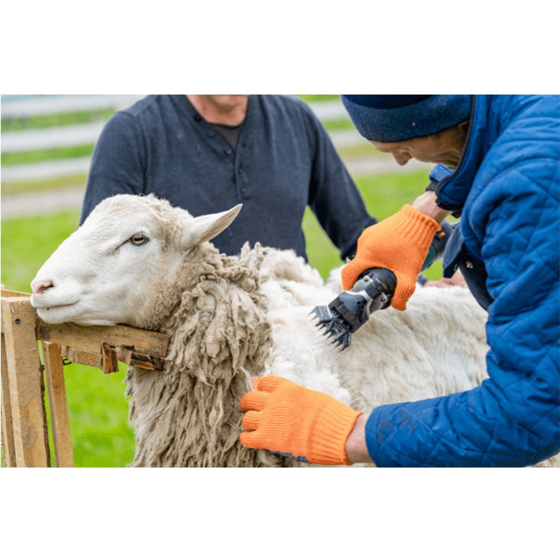 ANIMAL CLIPPER 350W - Image 3
